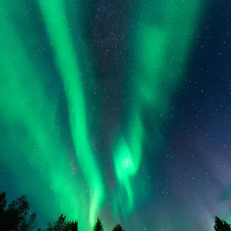 Arctic With Sauna By Book Lapland
